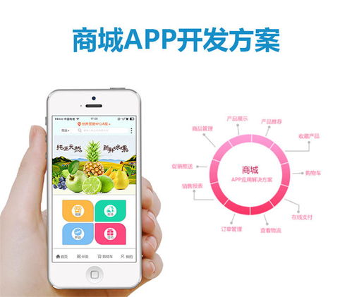 杰里顧客至上 東莞Vue App開發(fā)與全方位技術服務