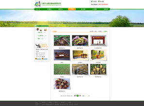 奧遠科技 云南領先的網(wǎng)站建設與App開發(fā)技術服務商